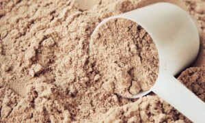 low fodmap protein powders