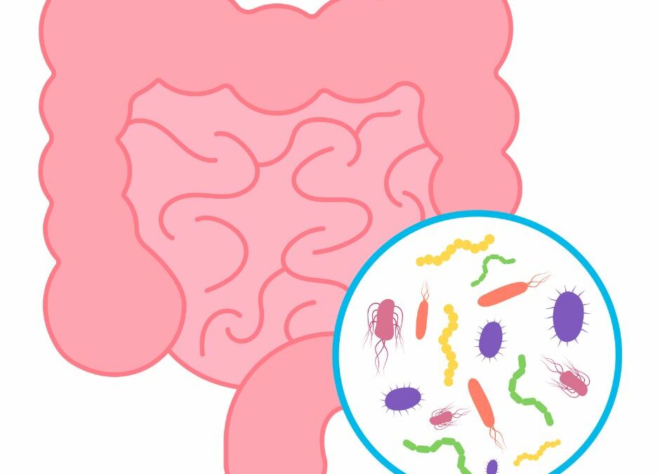Hydrogen Sulfide Bacteria – How it Impacts Gut Health